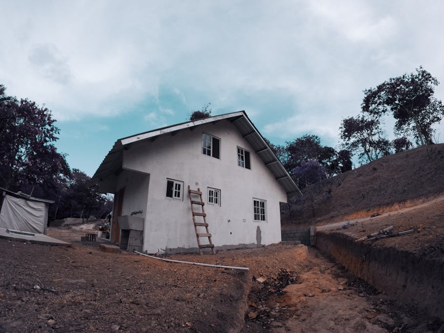 A rural house with a ladder against it in an outdoor woodland setting.